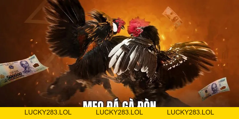 Ga6789 lucky283.lol 🎖️ Đăng Ký Trang Chủ Ga6789 Thomo Nhận +88K - lucky283